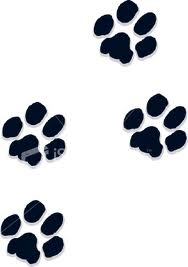 Paw Prints