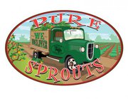 pure sprouts 3