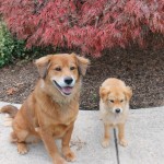 Photo Recap: “National Love Your Pet Day” Pics!
