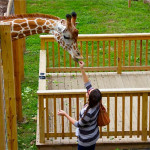 Elmwood Park Zoo: Montco’s Animal Kingdom!