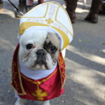 Home At Last Hosts Howl-O-Ween!