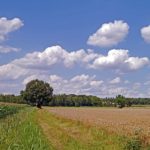 28-acre Lower Salford Property to be Preserved
