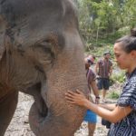 Montgomerian on the Move: A Day Among Elephants