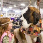 National Dog Show Coming Soon