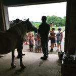 Photo credit: https://funefarmtoo.com/camps