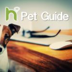 Happening Pet Guide