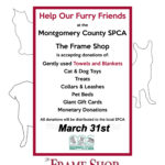 Help our Furry Friends