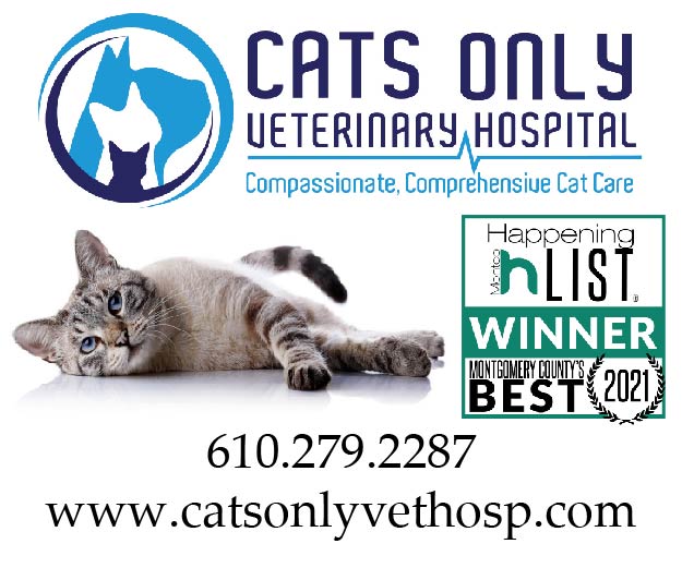 Cats Only Veterinary Hospital