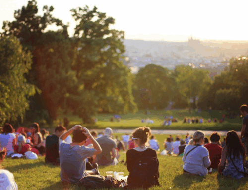 Live Music Venues + Outdoor Entertainment to Enjoy This Summer