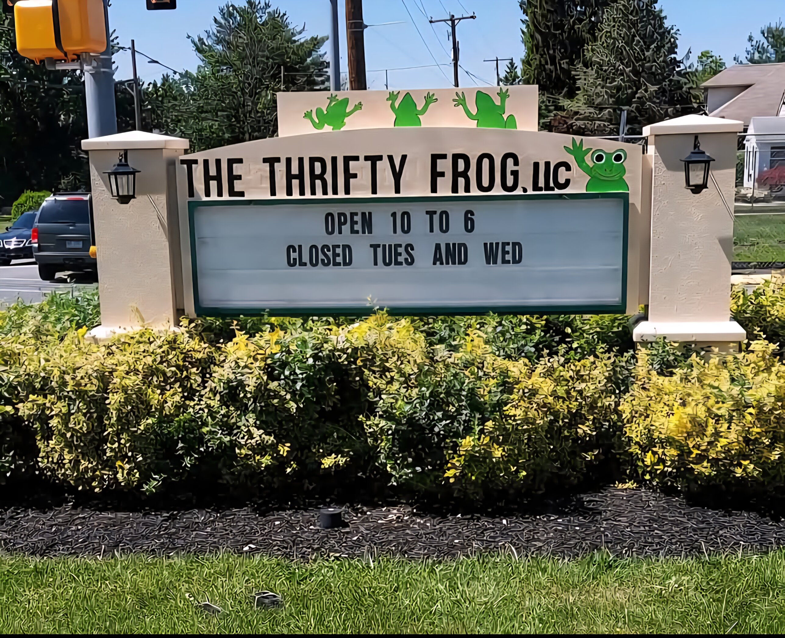 The Thrifty Frog Sign The Thrifty Frog Sign