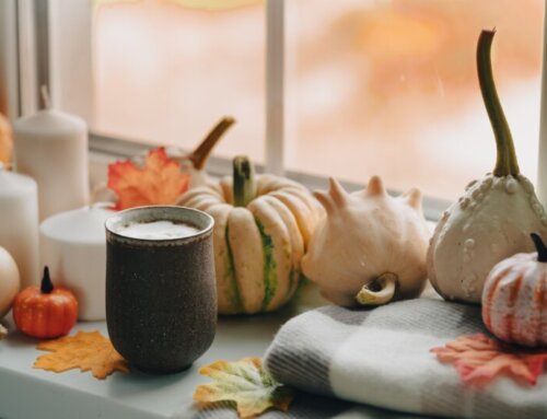How to Add Cozy, Fall Vibes to Your Home This Season