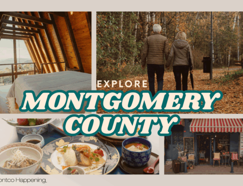 Rediscover Your Hometown | How to Be a Tourist in Montco