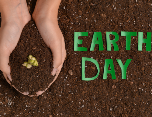 Celebrate Earth Day | Simple Ways to Get Involved in Montco