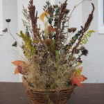 Potpourri of Pods