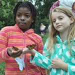 Winged Wonders: The Magic of the Monarch Butterfly PLUS The Hardworking Honeybee