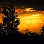 Outdoor Fun to Kick Off Fall in Montco