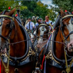 Photography captured by Michael Brooks Fine Photography