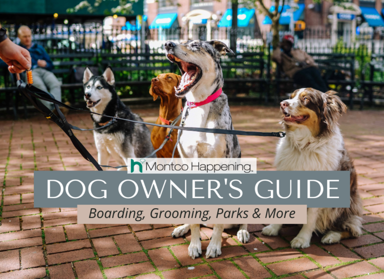 Montgomery County Dog Owner's Guide Boarding, Grooming, Parks & More