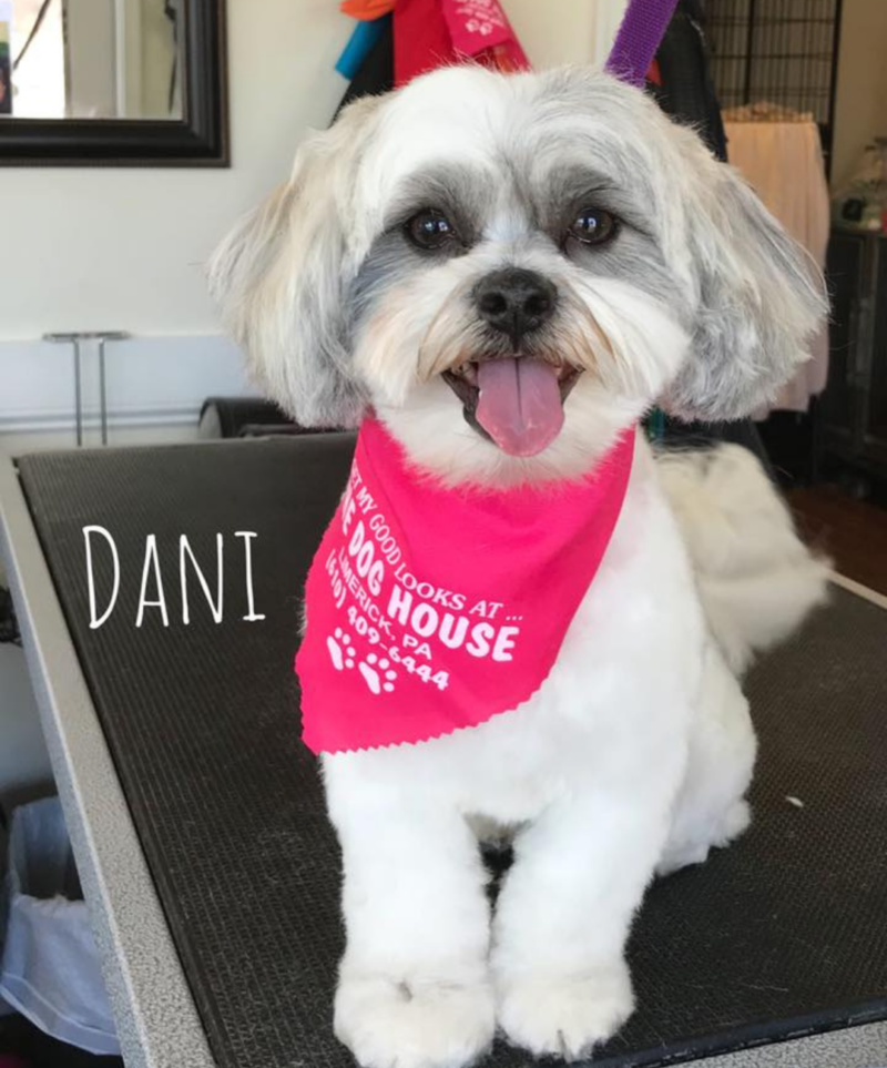 Montgomery County Dog Owner's Guide Boarding, Grooming, Parks & More