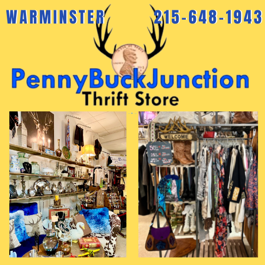 Penny Buck Junction Thrift Store
