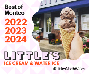 LittlesIceCreamHL25