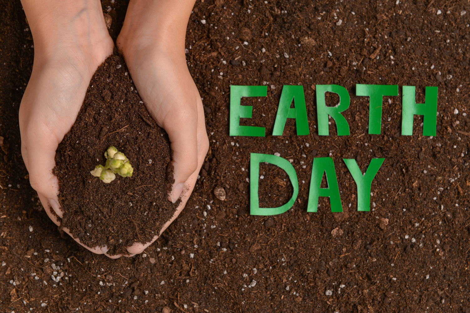 Celebrate Earth Day | Simple Ways to Get Involved in Montco